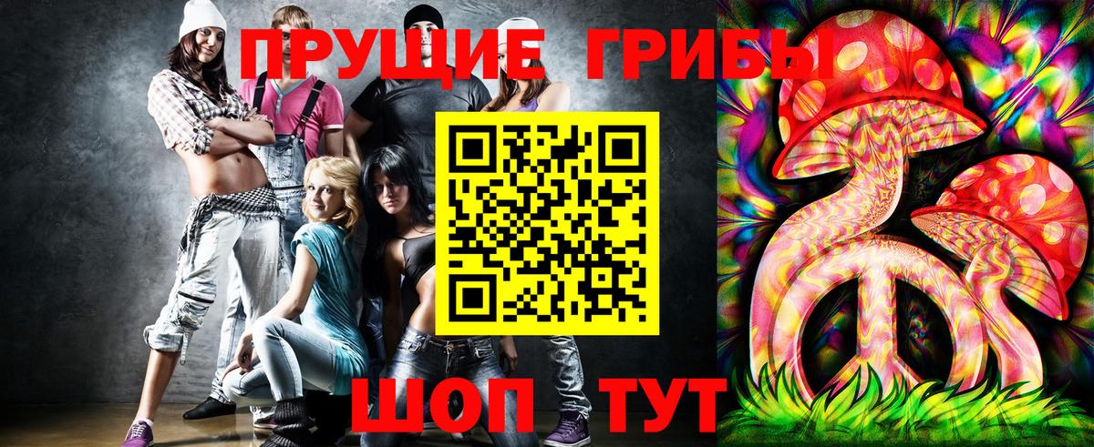 Вологда  Псилоцибиновые грибы мицелий  Вход с VPN 